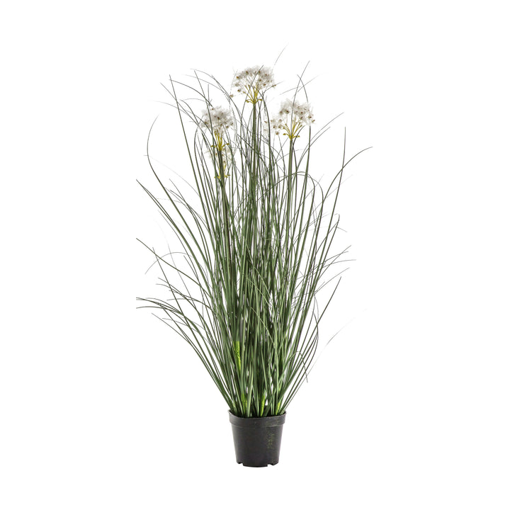 Potted Grass w/4 Heads White 850mm