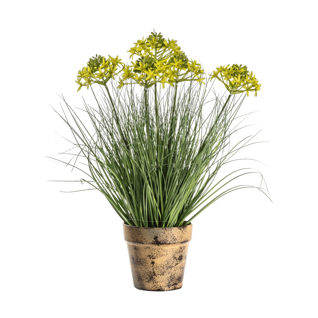 Potted Grass w/5 Heads Yellow 530mm