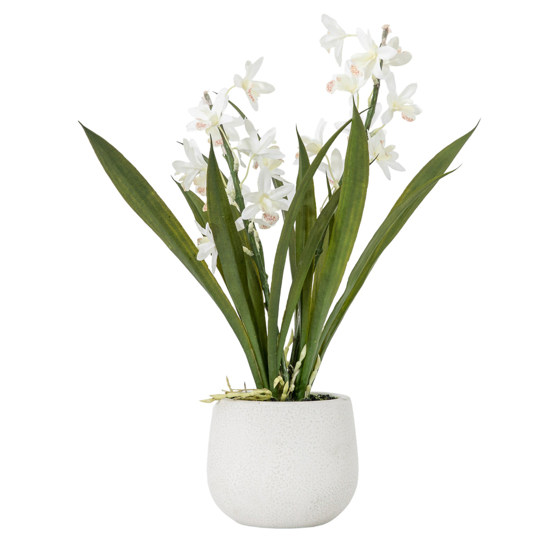 Potted Cymbidium Orchid (real touch) White H410mm